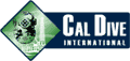 Cal Dive Int'l